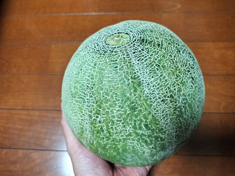 IMG20231012191319