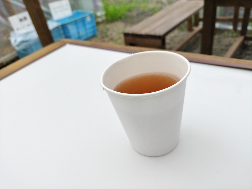 IMG20240706155728