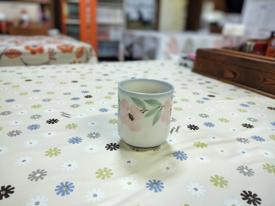 IMG20240307182733~2