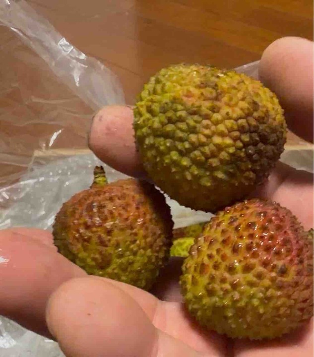 FullSizeRender