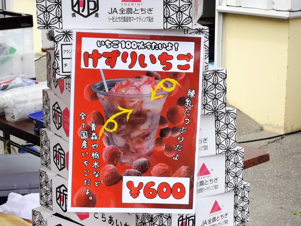 IMG20240630101534