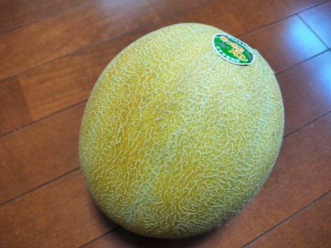 IMG20230723161633