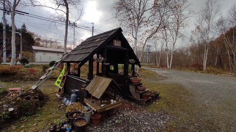 IMG_20211107_132440