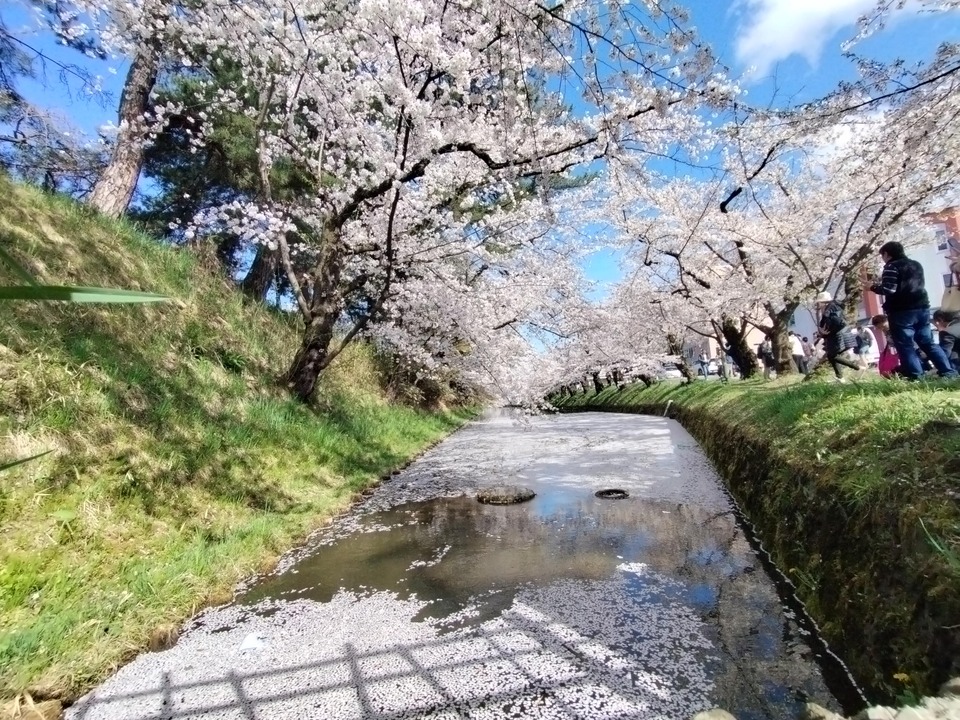 IMG20240420144230_BURST001