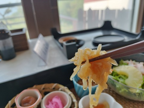 IMG20230527070818