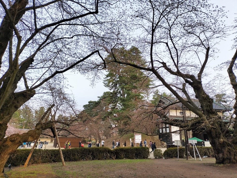 IMG20250419171000