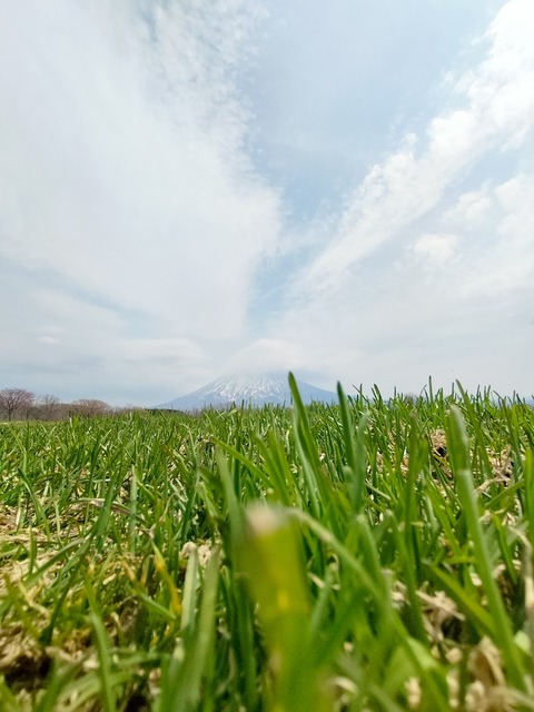 IMG20230429111221