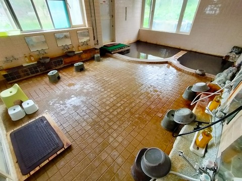 IMG20230504100227