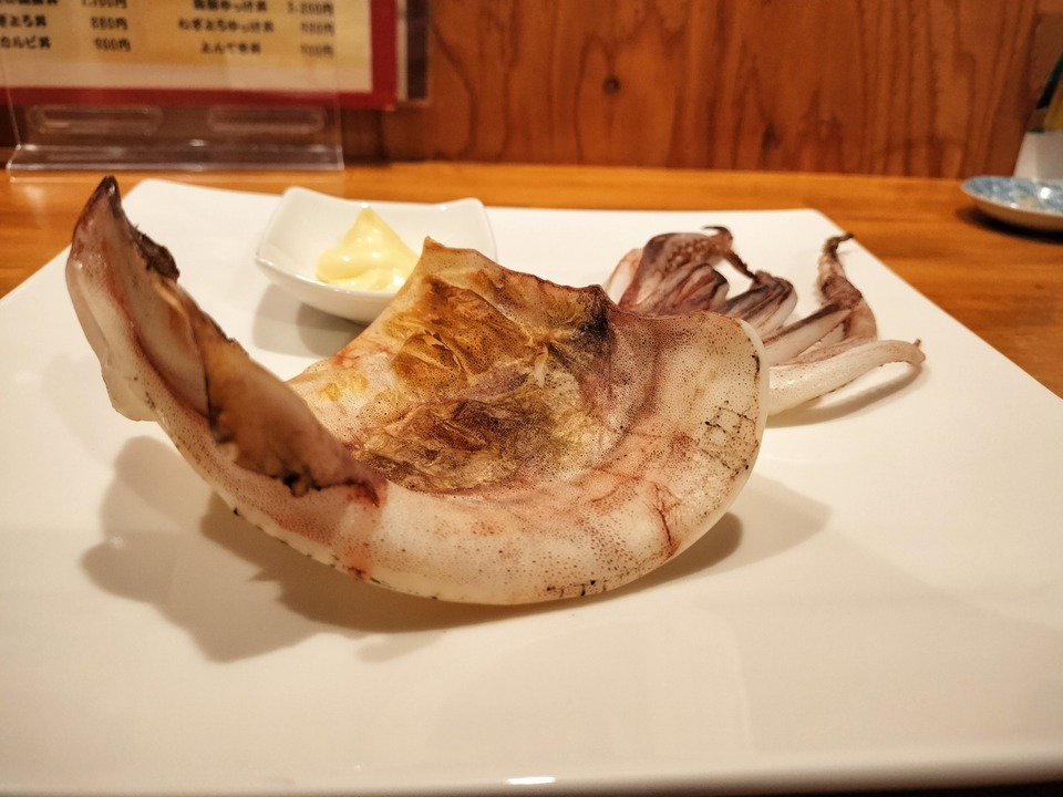 IMG20231020192847