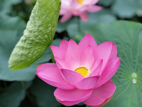 IMG20230814095837~2