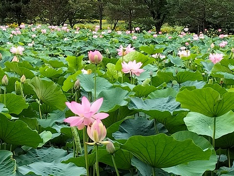 IMG20230814103228~2