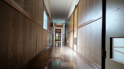 IMG_20221127_114128
