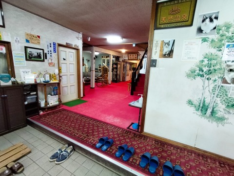 IMG20230429162847