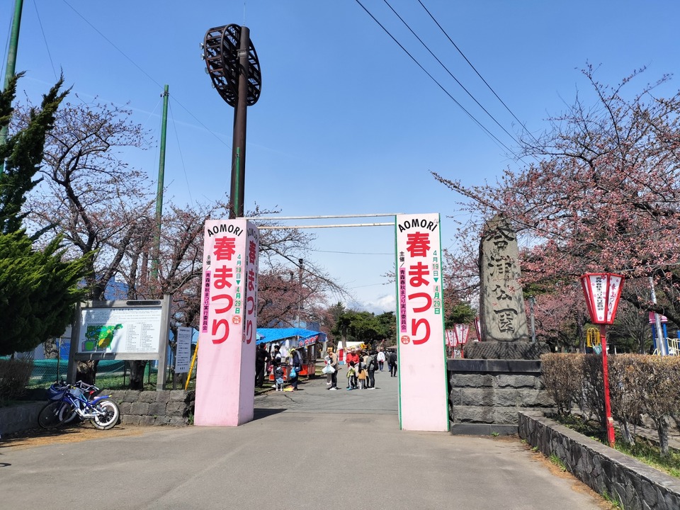IMG20250419112439