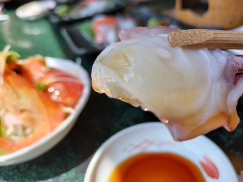IMG20230514112304
