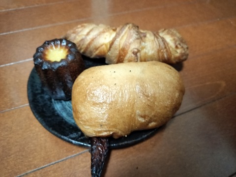 IMG20230411224237