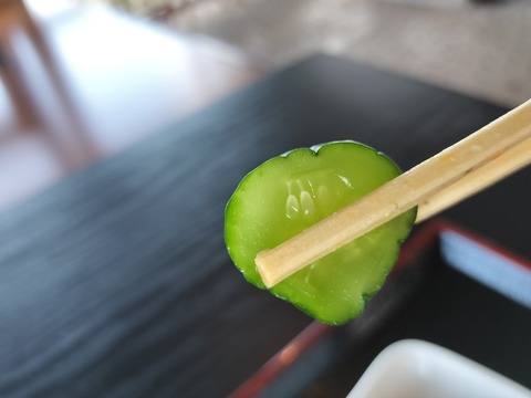 IMG20230826124919