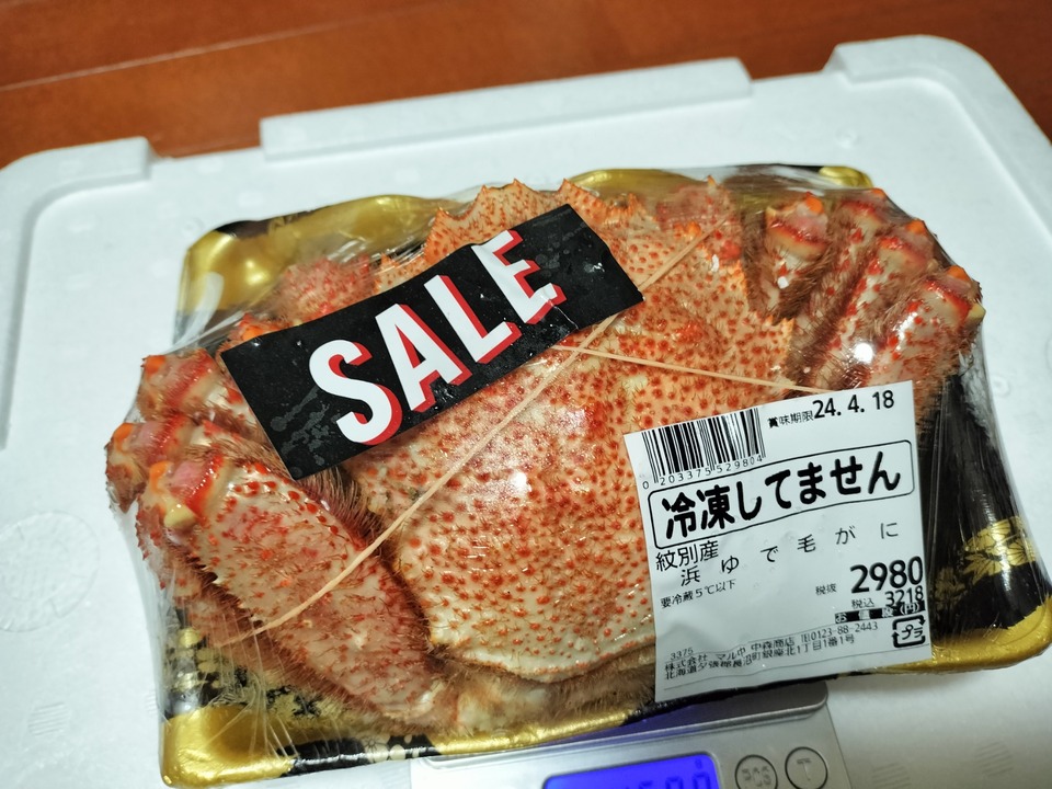 IMG20240413224548
