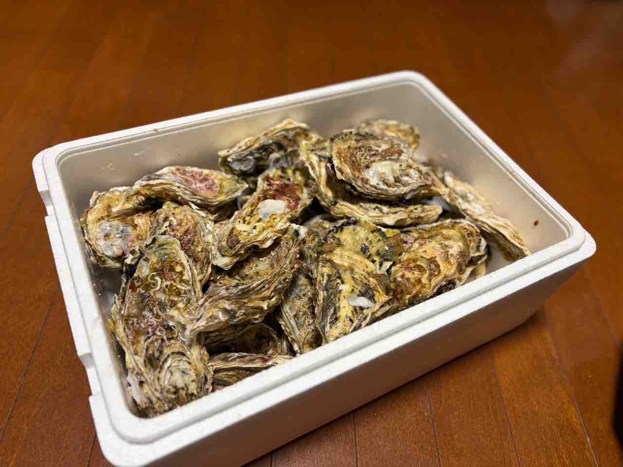 道南のブランド牡蠣 知内産海峡の牡蠣は やっぱ美味かった : 函館 