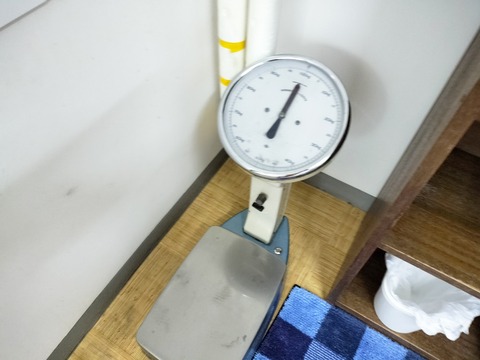 IMG20230429161054