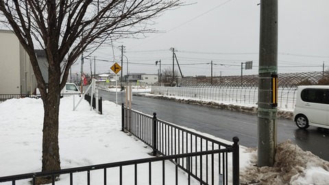 IMG_20220116_130628
