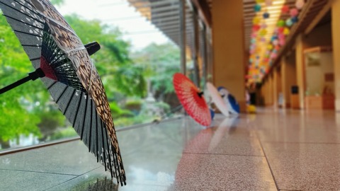 IMG_20221024_194916