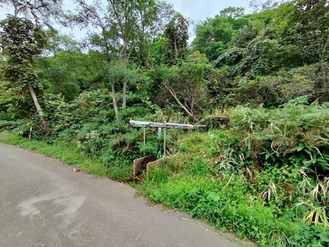 IMG20230917150858