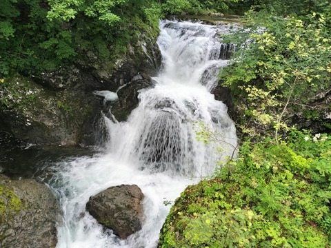 IMG20230716175059