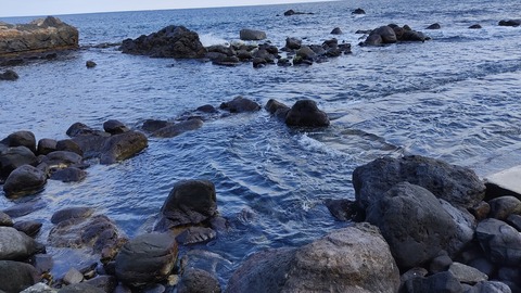 IMG_20220212_120231