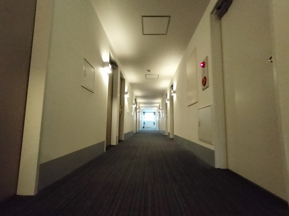 IMG20241124073225