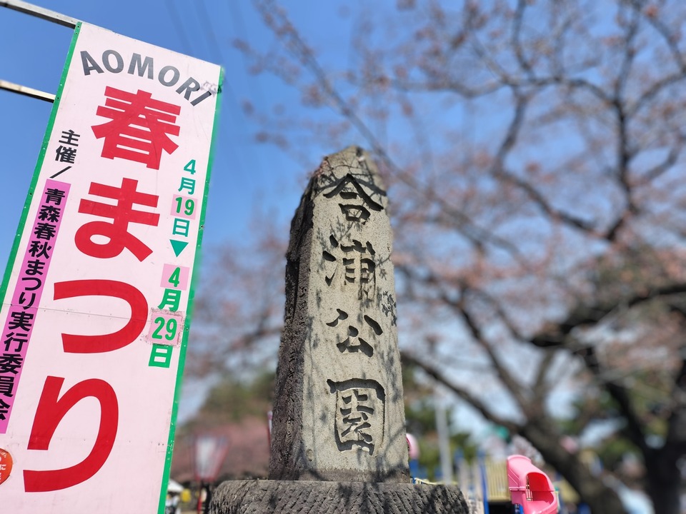 IMG20250419112448~2