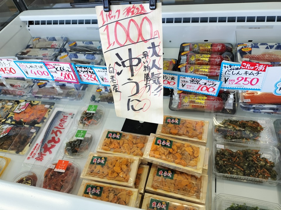 IMG20231014102847