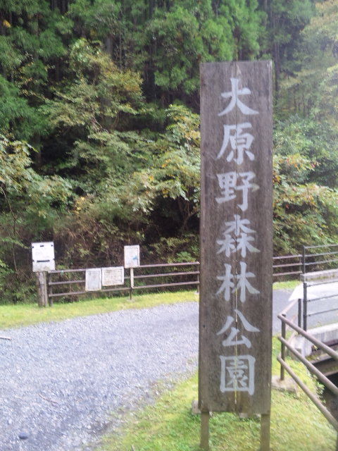 森林公園探訪 京都のｍｔｂダウンヒルチームdirtrocks