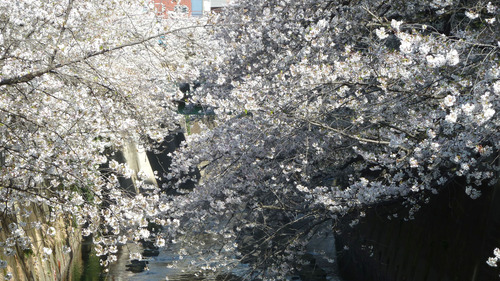 ���׿�����26��4��3���9