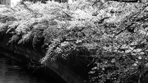 ���׿�����26��4��3���13