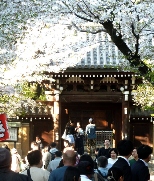 ����ˡ����26��4��3���6