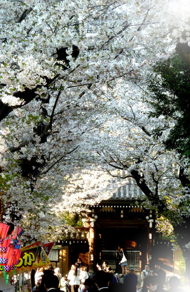 ����ˡ����26��4��3���10