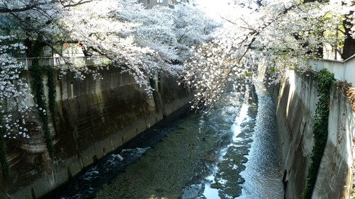 ���׿�����26��4��3���10