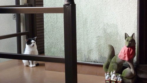 ねこ 威光稲荷尊21n9g6n3