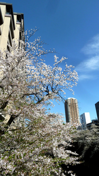 ���׿�����26��4��3���8