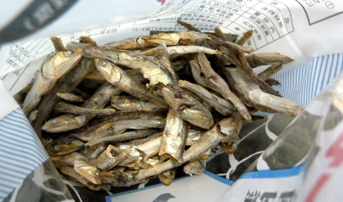 にぼし21n10g