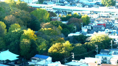 名主の滝公園 22n11g27n王子d2