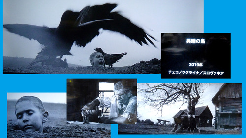 異端の鳥21n9g