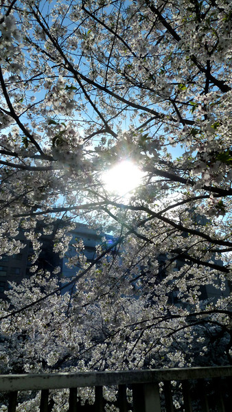 ���׿�����26��4��3���11]