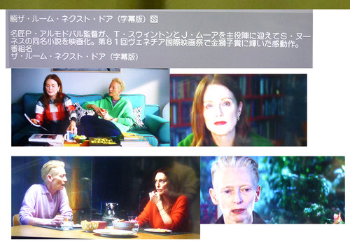 �����롼��ͥ����ȡ��ɥ�26��1��2���