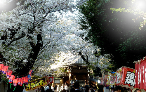 ����ˡ����26��4��3���8