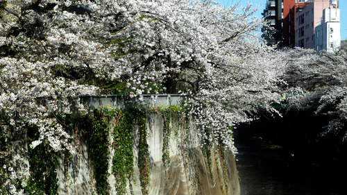 ���׿�����26��4��3���12