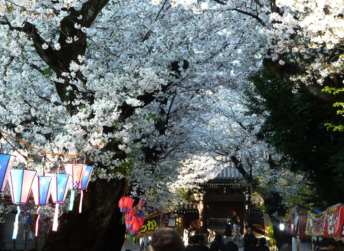 ����ˡ����26��4��3���9