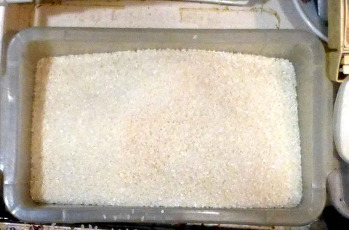 ���Ӵ�26��4��17��1�ס�3