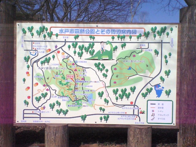 水戸市森林公園 よかっぺ日記